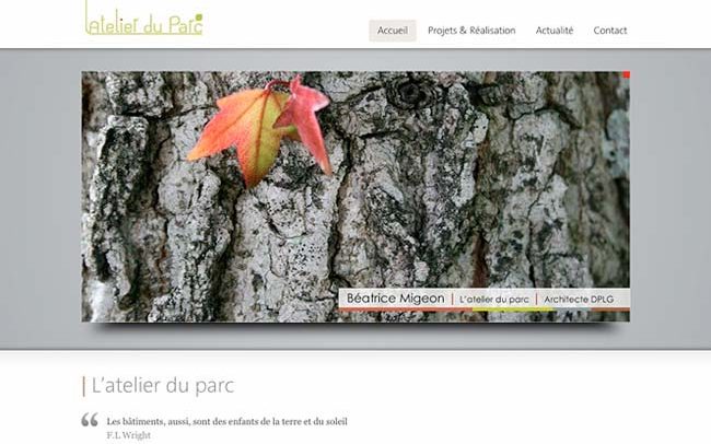 portfolio du site architecture dplg à nantes avec ecorce d'arbre