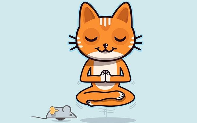 logo et mascotte d'un chat zen