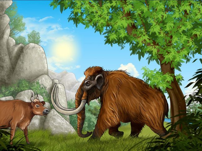 dessin de mamouth dans la nature avec un enoch
