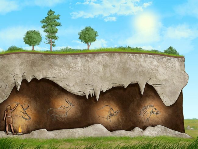 coupe géalogique du musée de la préhistoire