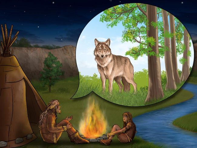 illustration contes du loup au coins du feu