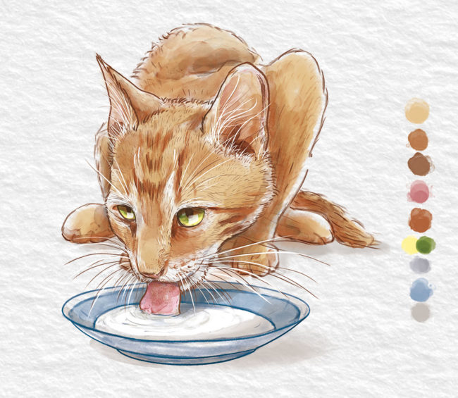 aquarelle d'un chat qui boit du lait