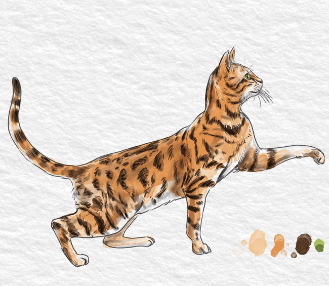 aquarelle d'un chat tacheté vue de profil