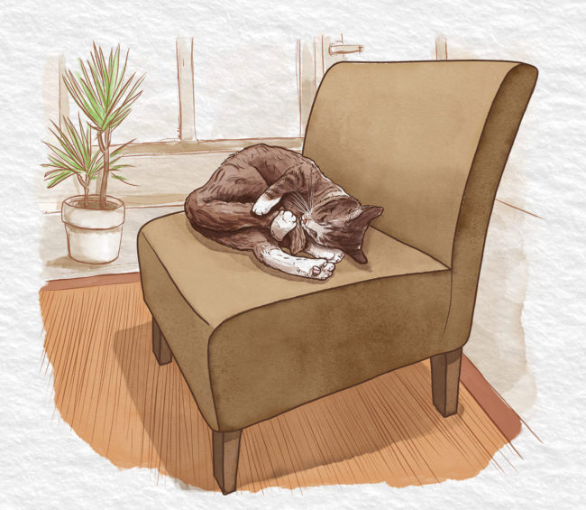 aquarelle d'un chat qui dort dans un fauteuil