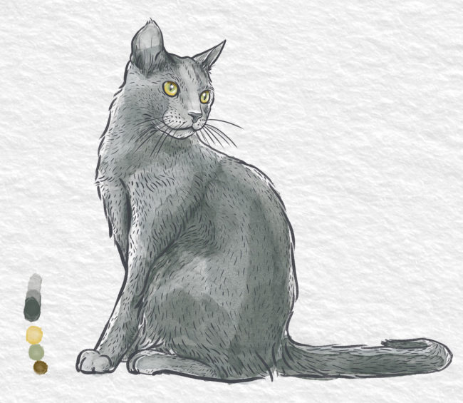 aquarelle du chat de race bleu russe vue de profil