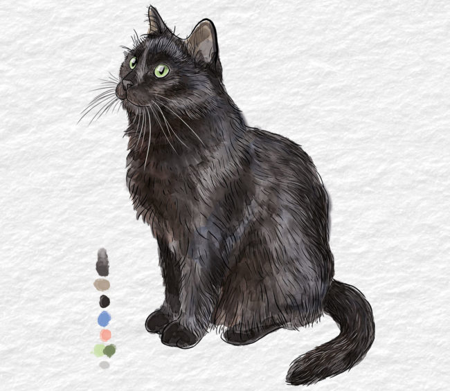 une aquarelle d'un chat noir de race bombay