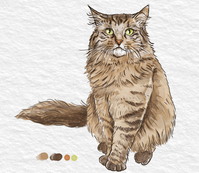 une aquarelle d'un chat de race siberien vue de face