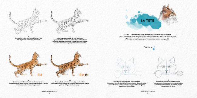 Livre dessinez les chats Dessin & Tolra, aquarelle d'une tête de chat