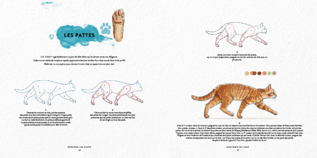 Livre dessinez les chats Dessin & Tolra, aquarelle de pieds de chat