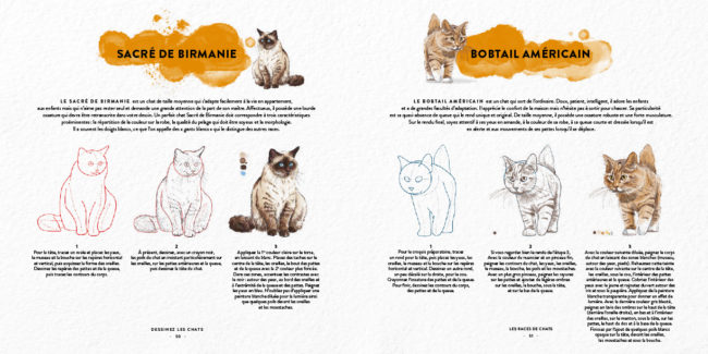 Livre dessinez les chats Dessin & Tolra - sacré de birmanie et bobtail américain