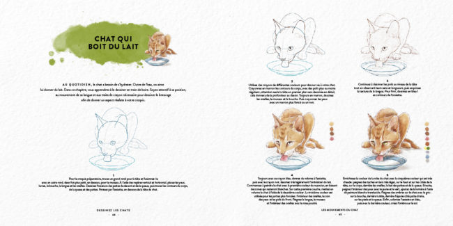 Livre dessinez les chats Dessin & Tolra, aquarelle d'un chat qui boit du lait