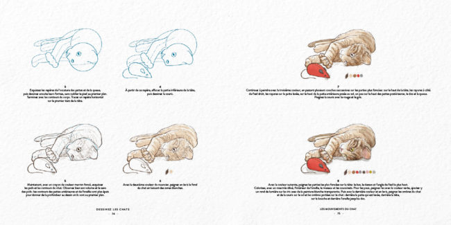 Livre dessinez les chats Dessin & Tolra, aquarelle d'un chat qui joue