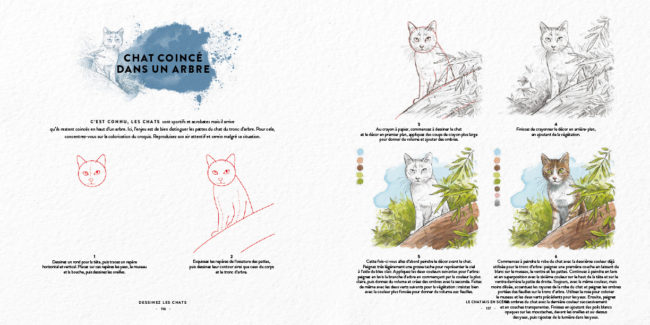 Livre dessinez les chats Dessin & Tolra, aquarelle d'un chat dans un arbre
