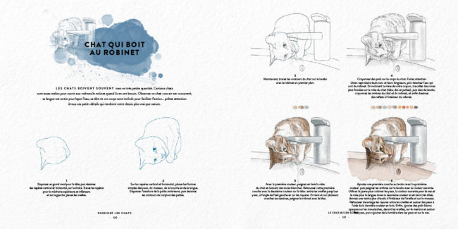Livre dessinez les chats Dessin & Tolra, aquarelle d'un chat qui boit