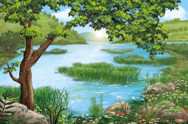 dessin décor pour pokemon bord d’un lac