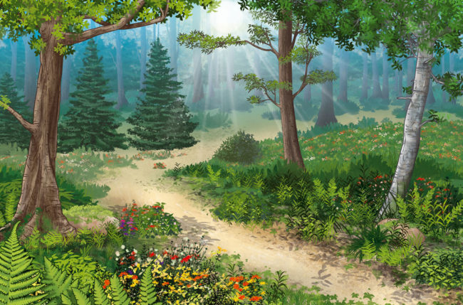 dessin décor pour pokemon foret