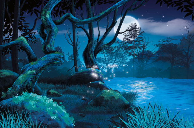 dessin décor pour pokemon lac-de-nuit